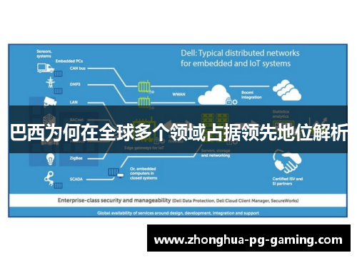 巴西为何在全球多个领域占据领先地位解析