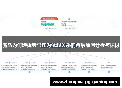 魔鸟为何选择老马作为依赖关系的背后原因分析与探讨