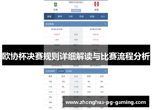 欧协杯决赛规则详细解读与比赛流程分析