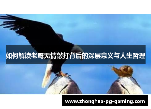 如何解读老鹰无情敲打背后的深层意义与人生哲理 如何解读老鹰无情敲打背后的深层意义与人生哲理