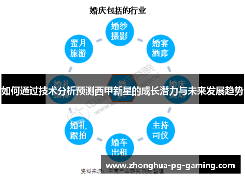 如何通过技术分析预测西甲新星的成长潜力与未来发展趋势 如何通过技术分析预测西甲新星的成长潜力与未来发展趋势