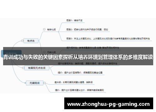 青训成功与失败的关键因素探析从培养环境到管理体系的多维度解读