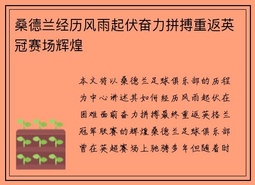 桑德兰经历风雨起伏奋力拼搏重返英冠赛场辉煌 桑德兰经历风雨起伏奋力拼搏重返英冠赛场辉煌