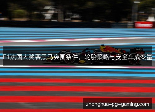 F1法国大奖赛黑马突围条件,轮胎策略与安全车成变量 F1法国大奖赛黑马突围条件,轮胎策略与安全车成变量