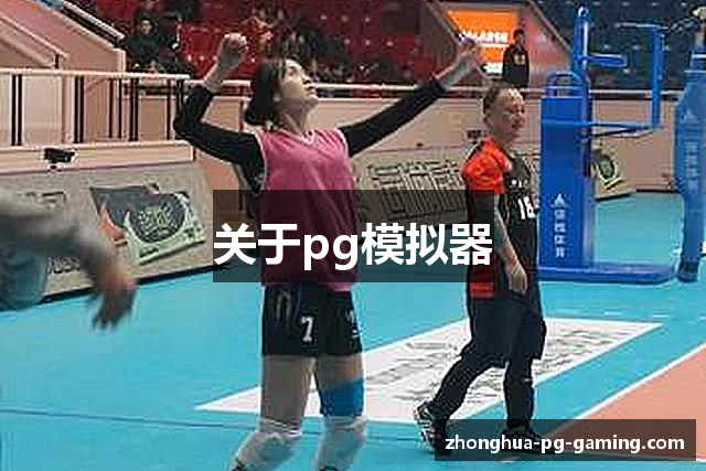 关于pg模拟器